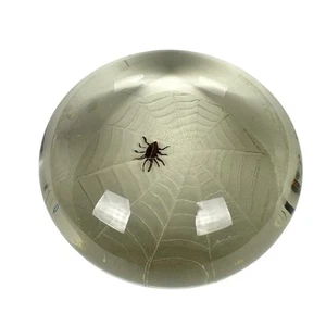 Vtg Murano Art Glass Spider & Web 3.5" Clear Paperweight Unusual Hand Painted - Picture 1 of 12