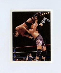 #TN08725 OWEN HART #137 Rare 1997 WWF Panini Sticker/Card - Picture 1 of 1