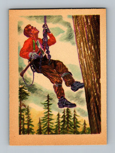 1956 Gum Adventure Card #74 In The Great Northwest EXMT-NM+