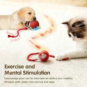 ✅ Dog Cat Smart Toy Automatic Rolling Ball Electric Pet Self-Moving Kitten Game - Picture 1 of 13