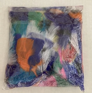 Bolso abierto plumas multicolor para manualidades - Imagen 1 de 3