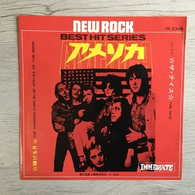 THE NICE AMERICA - Image 1 of 4