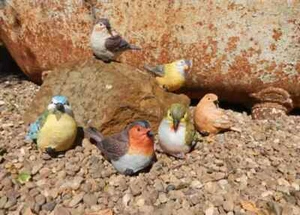 Bird Garden Ornament Statue Wildlife Pond Flower Bed Home Outdoor Décor Various - Picture 1 of 29