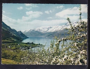Cartolina Norvegia Ullensvang Hardanger XR42 - Picture 1 of 1