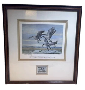 1979 MISSOURI Duck Stamp Print Charles Schwartz w/ Stamp Numbered 1512/2000 - Picture 1 of 6
