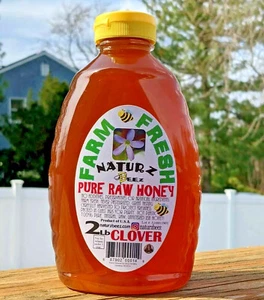 RAW HONEY CLOVER 2 LBS Squeeze Bottle 100% PURE LOCAL Made In USA - Picture 1 of 6