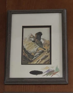 William T. Zivic “King Of The Skies” 1990 Eagle Western Wildlife Framed Signed - Picture 1 of 2