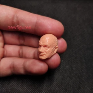 1:18 Boba Fett Temuera Morrison Head Model For 3.75" Male Action Figure Body - Picture 1 of 6