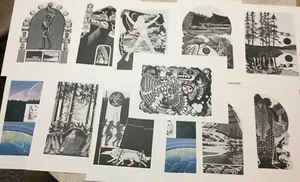 12 impresiones artísticas en bloque vintage del Pacífico NW nativos americanos cuervo zorro salmón océano ~ - Imagen 1 de 18