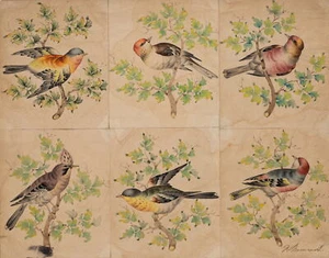 Sechs Singvögel auf Zweigen, Aq. Biedermeier Tiere 1800-1849 Unbekannt (19.Jhd) - Bild 1 von 5