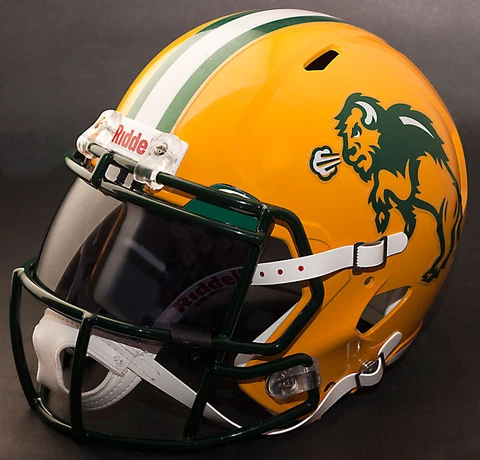 *CUSTOM* NORTH DAKOTA STATE BISON NDSU Riddell SPEED Replica Football Helmet Cover