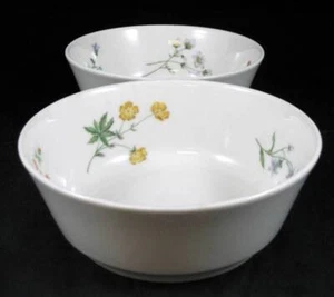 Royal Doulton Springtime Lote de 2 Fruteros TC1113 - Imagen 1 de 5