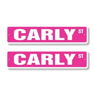 CARLY Street Sign (2 Pack) Childrens Name Room Metal Road Sign - Picture 1 of 7