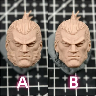 1/12 1/4 1/6 1/18 未上色 Ronin 金刚狼头雕刻模型玩具 — 第 1/4 张图片