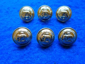 6 NEW X DUKE OF WELLINGTONS REGIMENT WEST RIDING 20MM ANODISED GOLD BUTTONS - Picture 1 of 4