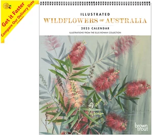 Calendario 2025 Illustrated Wildflowers of Australia Deluxe Pared Browntrout A04213 - Imagen 1 de 6