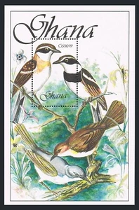 Ghana 1156-1157,MNH.Michel Bl.147-148. Birds 1989. - Picture 1 of 2