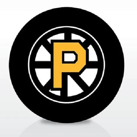 AHL TEAM LOGO style PROVIDENCE BRUINS 2012-2013 PUCK - #DL Cover