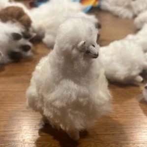 Llama Stuffies - Picture 1 of 10