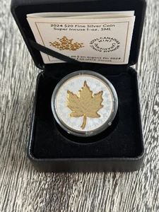 NEU! Kanada 2024 20$ SUPER INCUSE MAPLE LEAF SML Gold Plating 1 oz Silbermünze - Bild 1 von 5