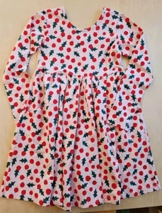 NWOT HANNA ANDERSSON PINK SNOWBERRIES L/S SKATER TWIRL DRESS POCKETS 120 6 7 - Picture 1 of 8