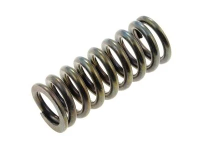 For 1990-1996 Chevrolet C60 Kodiak Door Hinge Spring Dorman 36852CGFW - Image 1 of 2