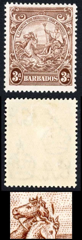 Barbados SG252 3d Marrón Perf 13.5 x 13 Línea sobre cabeza de caballo M/M Gato 150 libras Foto 1 de 1