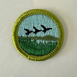 Parche de premio insignia de mérito BSA Boy Scouts PECES Y VIDA SILVESTRE Scouts actuales BSA tipo H - Imagen 1 de 5