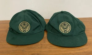 2 Jagermeister Gold Logo Trucker Cap/Hat Flat Cap Green - Picture 1 of 7