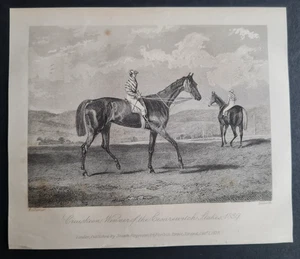 Antiker Druck von 1839 - Pferderennen - Cruiskeen - 1839 Cesarewitch Sieger - Bild 1 von 3
