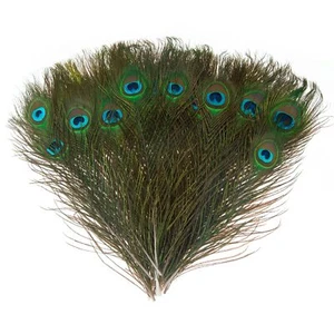 30Pcs Peacock Feathers, Green Peacock Eye Feathers for DIY Crafts Art, Peacoc... - Picture 1 of 8