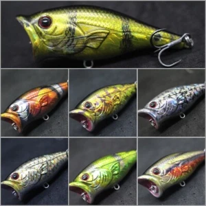 Señuelo de pesca Topwater con señuelo de 2 1/2 pulgadas Popper cebo duro pintura realista HT626 - Imagen 1 de 52