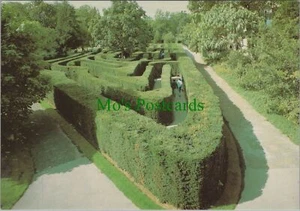 Middlesex Postcard - Hampton Court Palace - The Maze  RR15275 - Foto 1 di 2