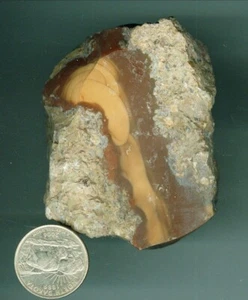 284 grams Natural American Bruneau Jasper Rough Idaho Bruneau Jasper Rough - Picture 1 of 1