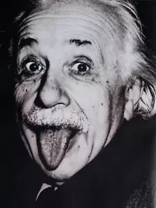 Einstein•Princeton 1951- Birthday Photo 24x36 Quality Art Poster - Picture 1 of 1