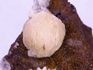 Barita botrioidal, siderita - mina San Pedro, Murcia, España / 8,5 x 6,7 x 3,5 cm - Imagen 1 de 4