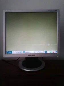 monitor SAMSUNG 913N - Foto 1 di 8