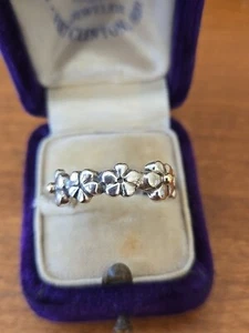 Pandora/ALE Sterling Silver Flower Eternity BandRing Size 5.75-6.0 L30 - Picture 1 of 8