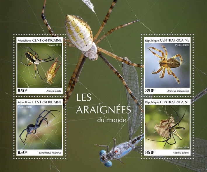 Estampillas de arañas MNH de la República Centroafricana 2019 arácnidos araña de jardín 4 V M/S Foto 1 de 1