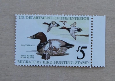 1975 Federal Duck Stamp, Canvasback Duck, RW42, MNH - Image 1 of 2