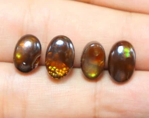 4.Piece Mexican Fire Natural Agate Smooth Mix Cabochon Loose Gemstone Cabochon - Picture 1 of 5