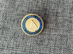 NUPE BADGE NATIONAL UNION OF PUBLIC EMPLOYEES VINTAGE ENAMEL BADGE - Picture 1 of 2