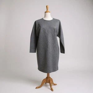 Everlane Dress Thick Scuba Knit Sz L Gray 3/4 Sleeve Tunic Minimalist Casual - Picture 1 of 10