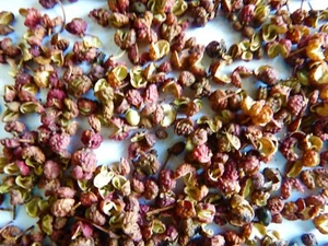 POIVRE DE SICHUAN 25 g saveur boisée et légèrement acidulée.fraise chocolat porc - Afbeelding 1 van 4