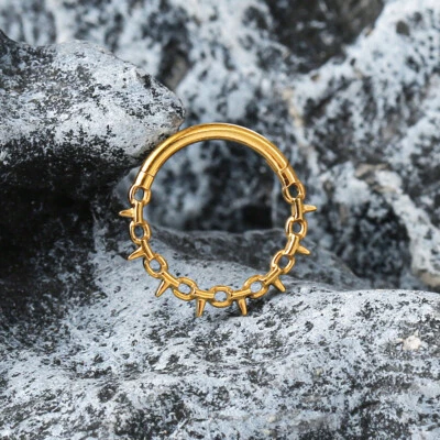 1 PIEZA Genial G23 Anillos Nariz Titanio Tragus Tabique Grueso Bisagras Clip Pendientes Foto 1 de 4
