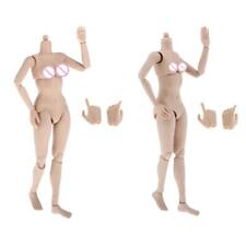 Maßstab 1:6s Nude Female Body Figure Hoops für TTM18 TTM19