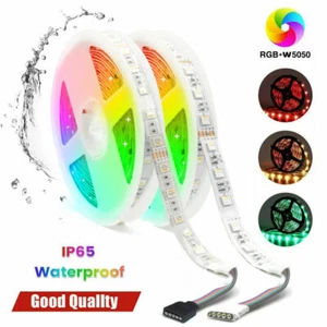 5-20m 24V Tira LED RGBW 5050 Tira Regulable Cadena Impermeable IP65 - Imagen 1 de 15