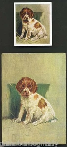 DE RESZKE-WELSH SPRINGER SPANIEL 'PUPPIES'- L & S POSTCARD/CIGARETTE CARD. 30/30 - Picture 1 of 2
