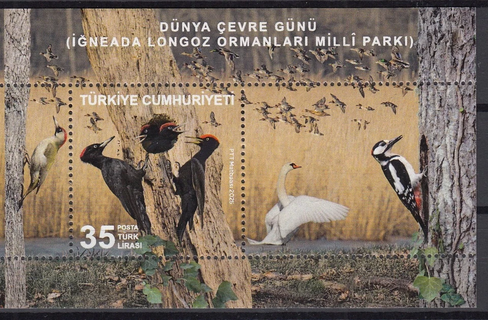 TURQUÍA.2019 EUROPA CEPT.Aves nacionales.BLOQUE.MNH Foto 1 de 1