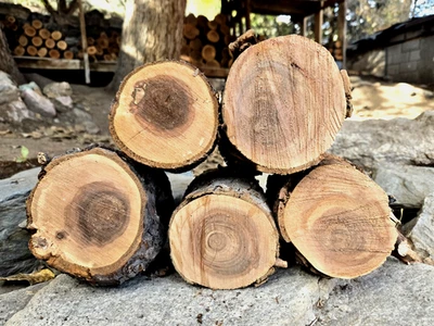 5 Big Apple Wood Logs 4"-5"D 5-8”L ~10 LBS Smoking Organic BBQ Grilling Crafts - Изображение 1 из 4